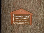 cimrmanův strom....stojí naproti zastávky Kaproun......ten bude v dalších dnech poznamenán bouřkou....